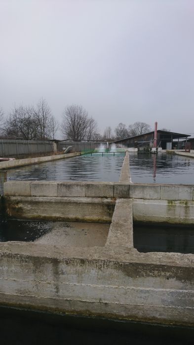 Продаж земельної ділянки в м.Вашківці