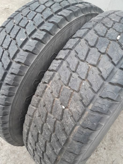 Продам резину. цешка.