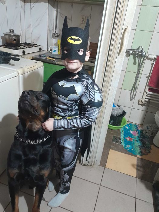 Oddam do dobrych ludzi psa