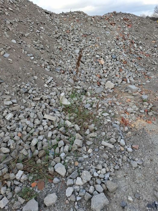 kruszywo betonowe