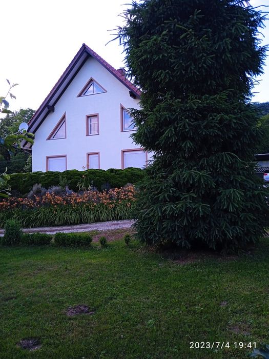 Ocieplenia i Wykończenia Domów