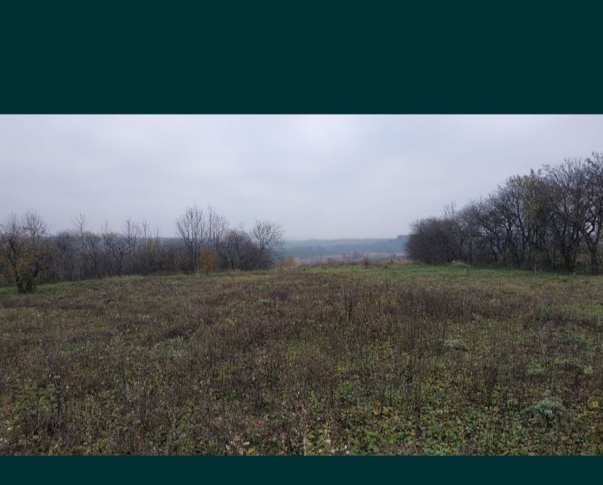 Земля с.Оляниця Тростянецький район