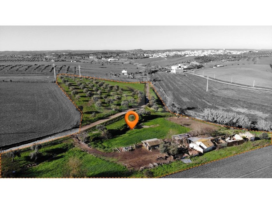 Quinta Alentejana com Ruína, Olival e Nascente