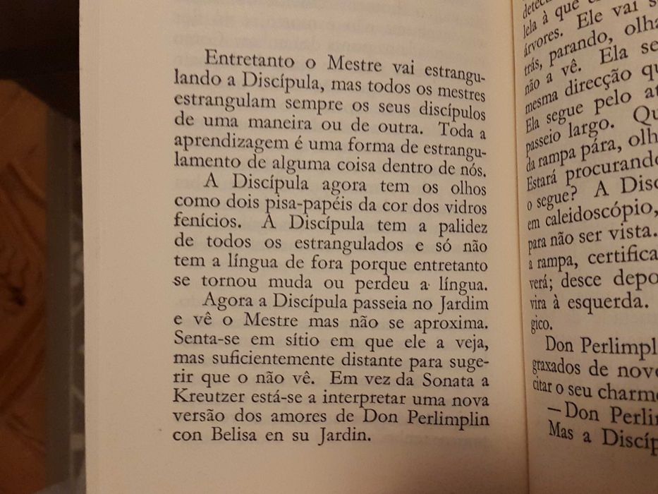 Ana Hatherly - O Mestre