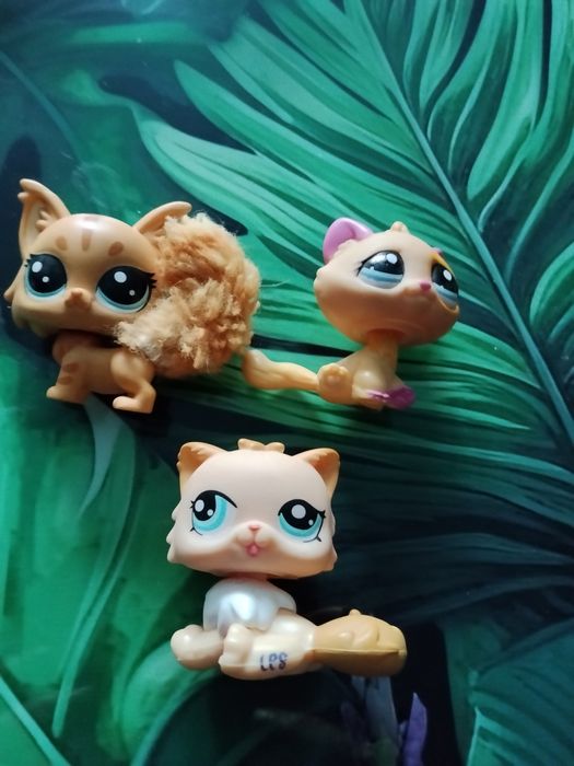 Pet shop zestaw 3 kotów