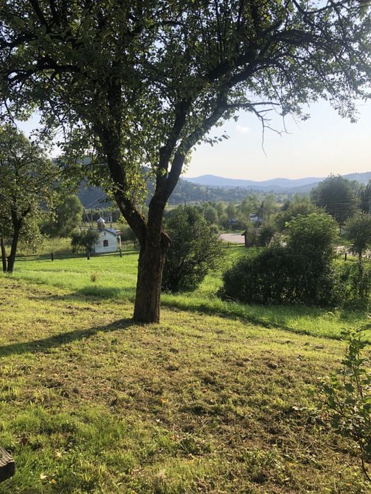 Продаються земельні ділянки