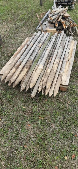 paliki i deski geodezyjne