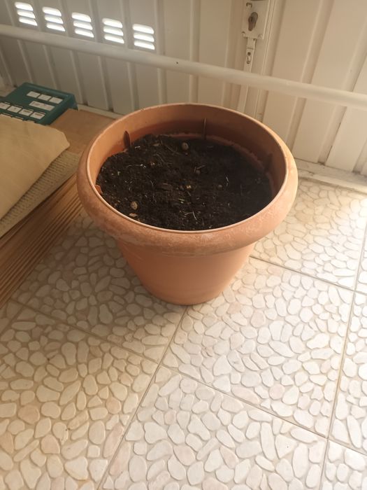 Vaso Grande 35cm diâmetro com terra