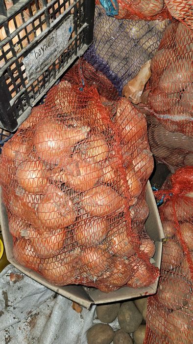 Продам картоплю велику , морква , буряк кормовий цибуля