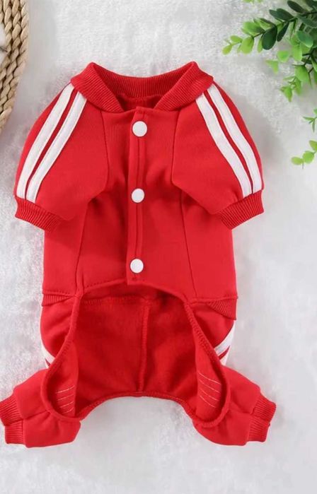 Комбінезон для собак.