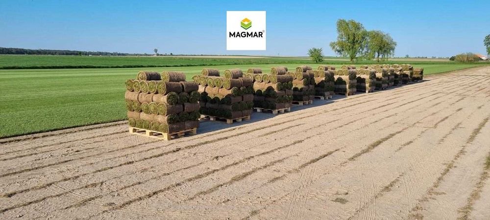 Trawa z Rolki, Trawnik rolowany, Jakość Premium - Efekt Dywanowy