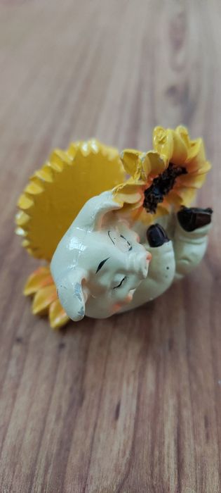 Подарую безкоштовно