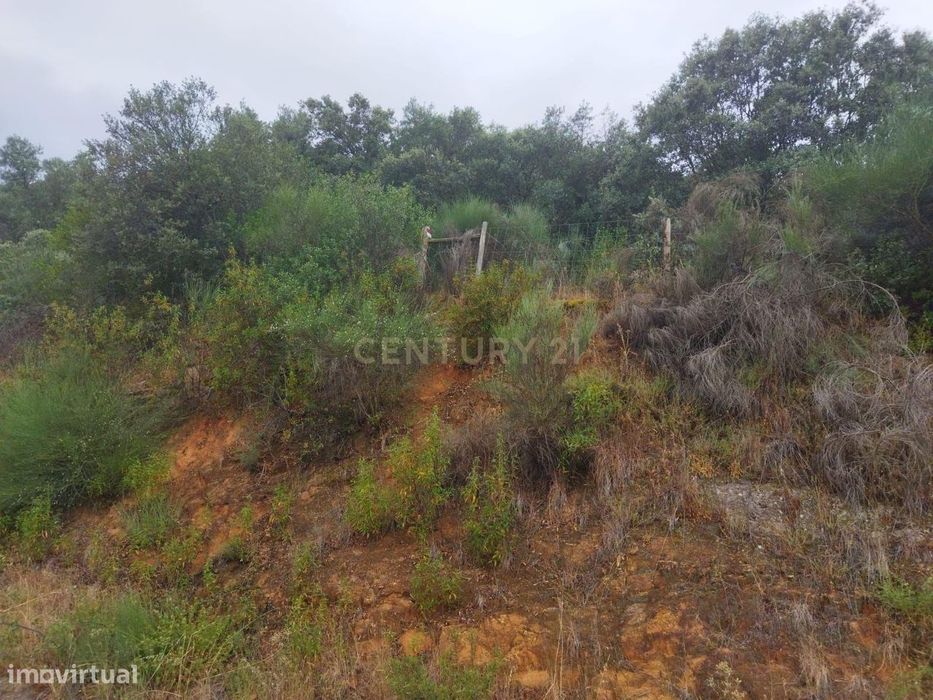 Terreno Rústico | Lousa, Castelo Branco