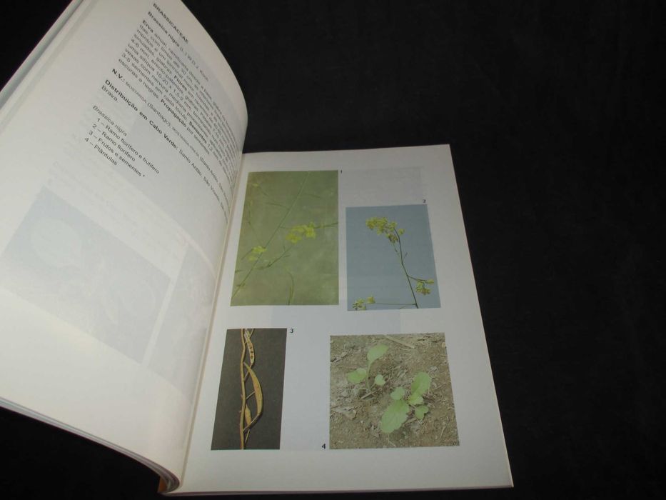 Livro Flora das Culturas Agrícolas de Cabo Verde Maria Adélia Diniz
