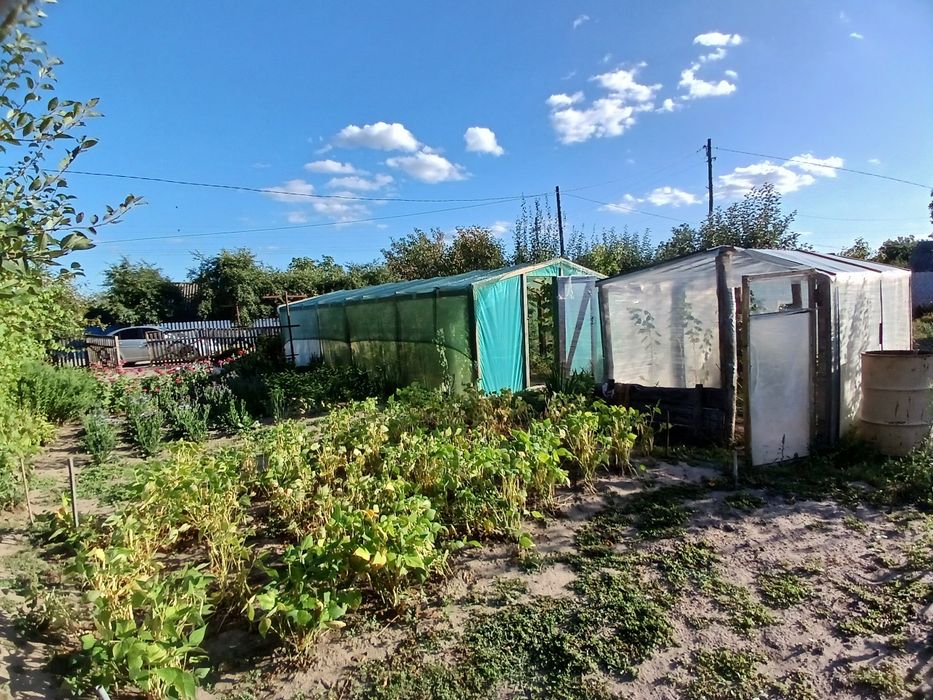 Продам дачу неподалік міста Канева в селі  Тростянець