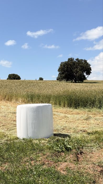 Fardos de feno e feno silagem