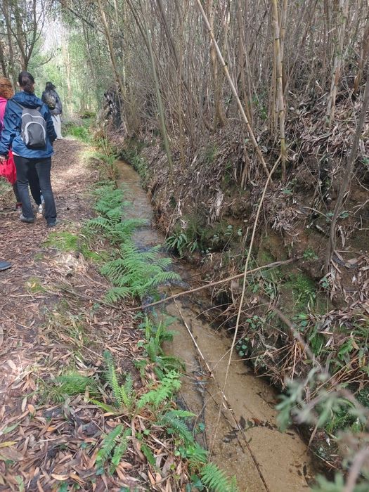 Passeios e Experiências