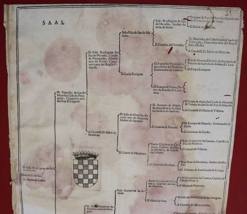Os SÁ, CONDES DE PENAGUIÃO árvore de costados, 1623