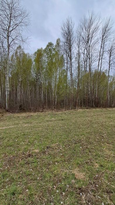 działka rolno leśna