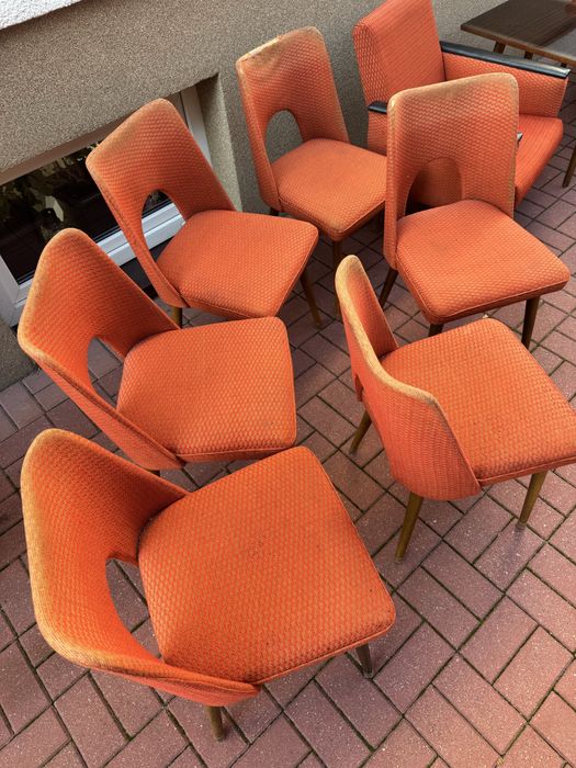 6 Krzeseł PRL Muszelka Bydgoskie Fabryki Mebli