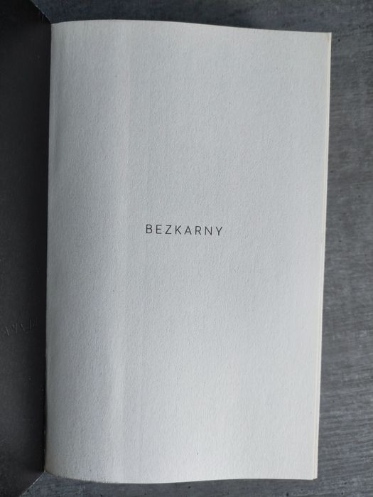 Remigiusz Mróz Bezkarny