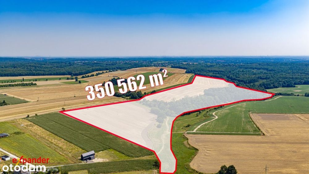 Działka rolniczo - leśna - 6 min - 5.3 km do wjazdu na A1 - Widok 5