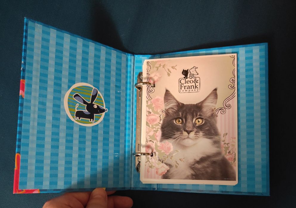 NOWY zestaw karteczek do segregatora i Nowy segregator.