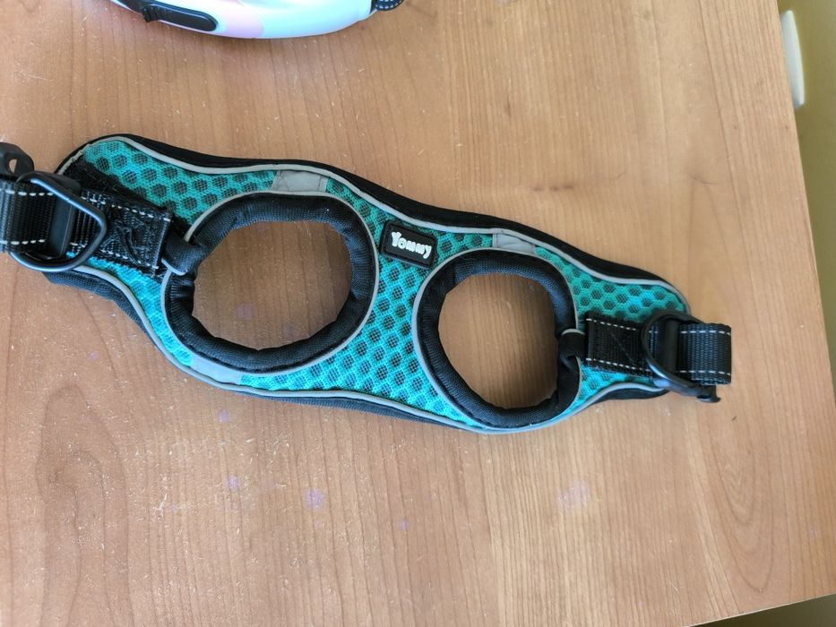 Arnes e trelha extensível