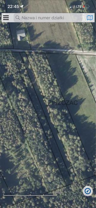 Działka leśna Piszczac