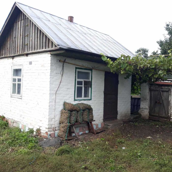 Продаж окремого будинку в селі в Чернігівській обл. Ніжинський р-н