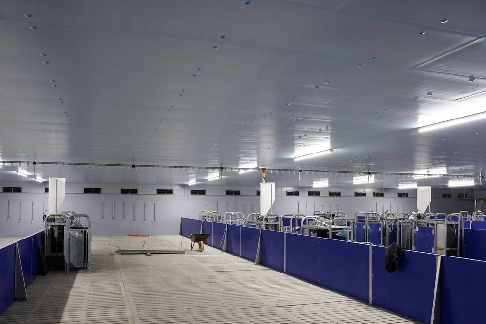 Izolacja Obory Chlewni Tuczarni Kurnika Wiaty Hali Styrodur XPS AGRO