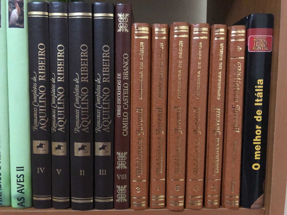 Lote de Livros de Vários Temas