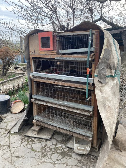 Клетка для перепелов