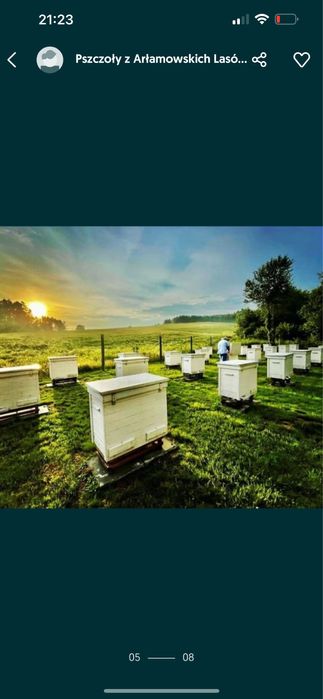 Miód nektarowy-leśny                             1 x słoik 1250g/900ml