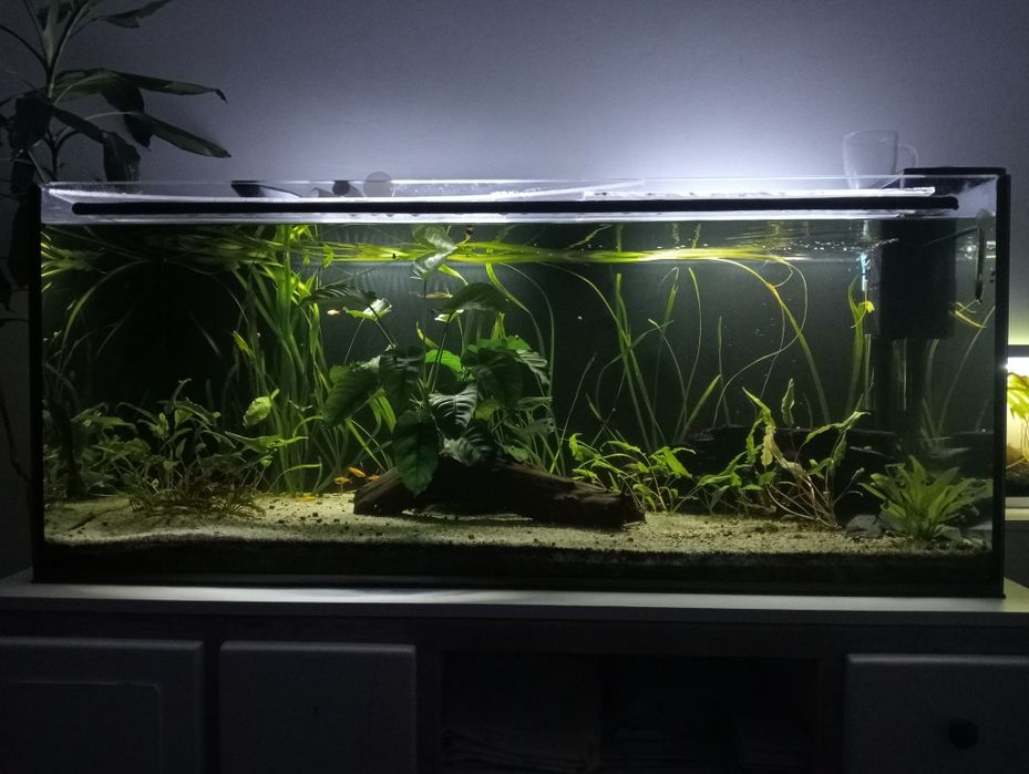 Aquário 300 litros
