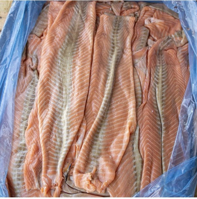 Лосось обрізь з спини