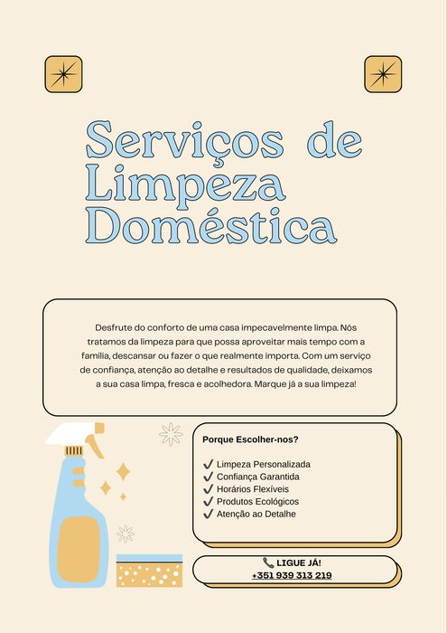 Domestic Cleaning Services – Professional and Trustworthy