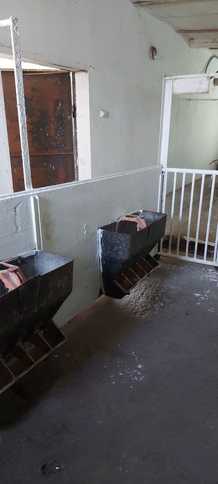 Продам ферму хозяйство ранчо