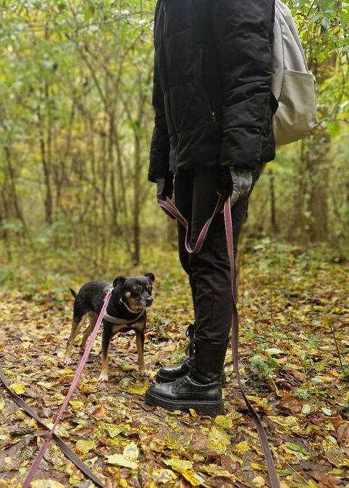 Mikro Sunia pilnie szuka domu