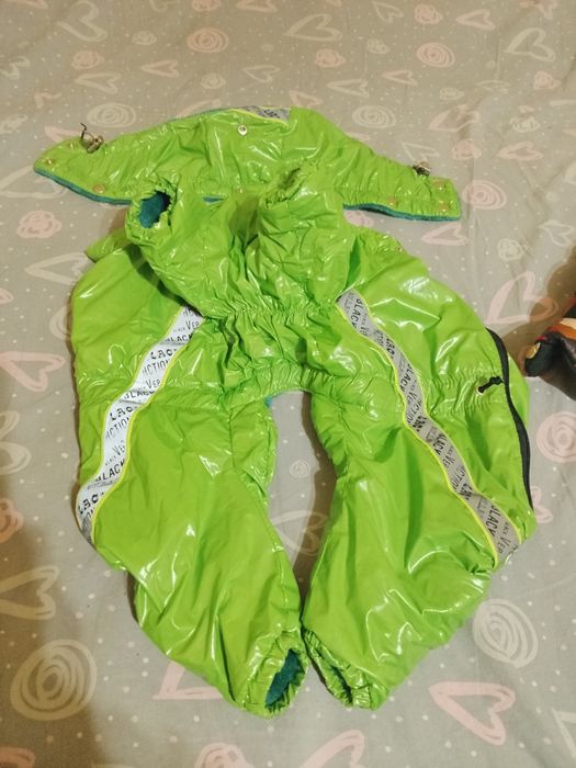 Костюми для малих собак