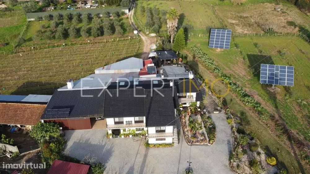 Quinta com moradia T4, anexos, área de lazer, vinhas em 19.000m2 de...