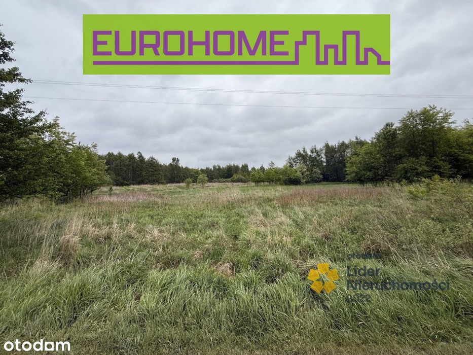 Atrakcyjna działka inwestycyjna ul. Podleśna 25 ar