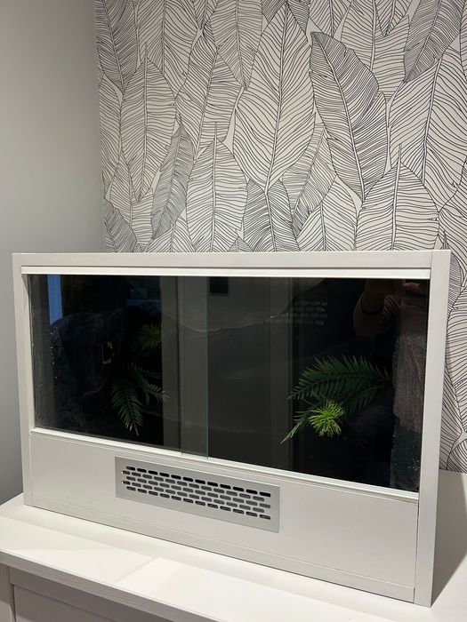 Terrarium dla gekona, z wyposażeniem