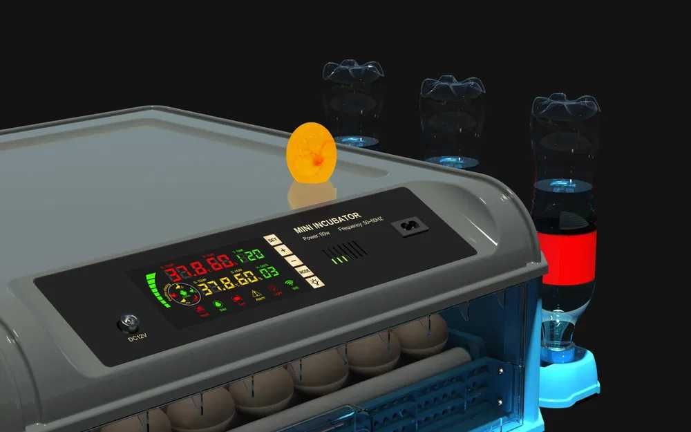 Chocadeira automática para ovos de aves