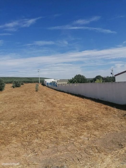Magnifico Terreno , 3250 m2, que pode ser a sua "QUINTA" no Monte Barr