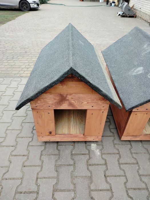 Buda dla psa solidna