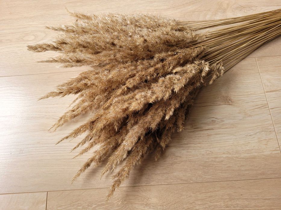 suszone kwiaty trawy do dekoracji wianków stroików palm *