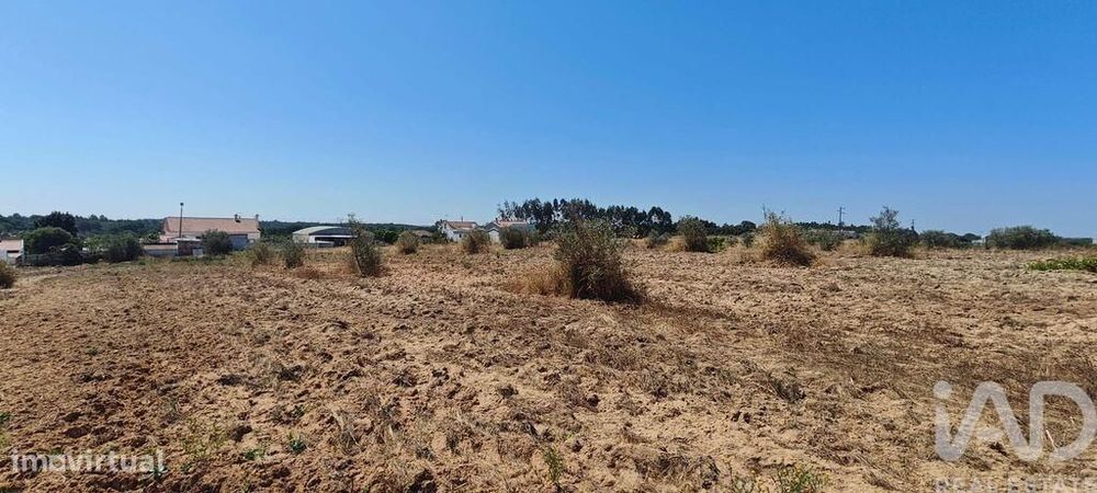 Terreno para construção em Branca de 7020,00 m2