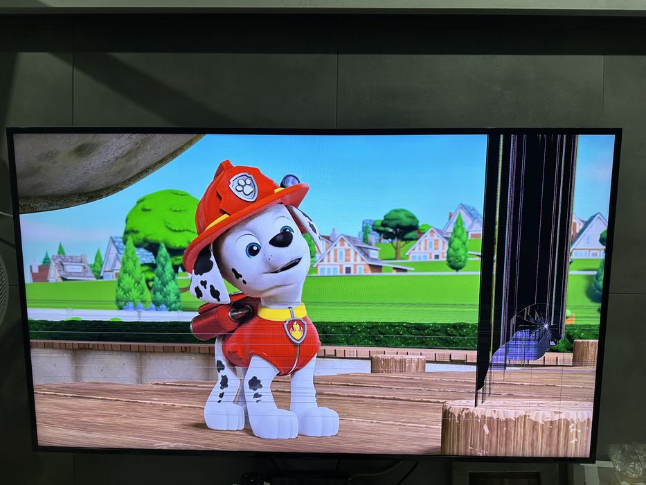 Telewizor Samsung 55 cali uszkodzona matryca
