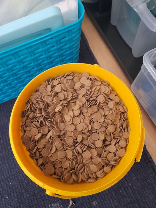 Comida para peixe de fundo. Sera